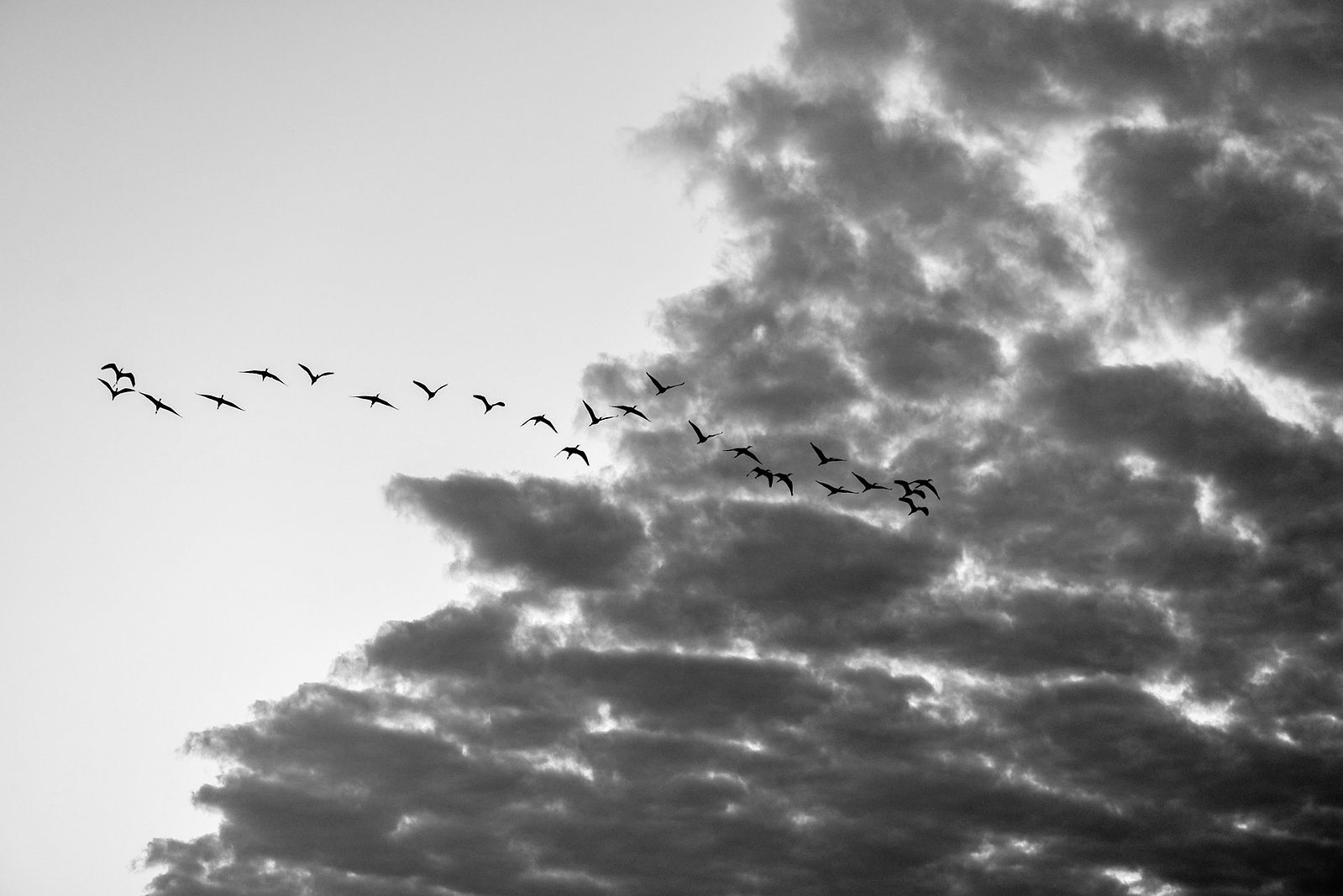 Photograph 108