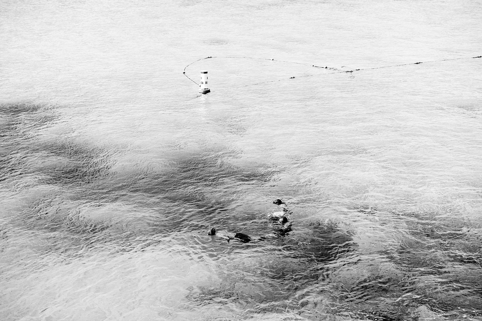 Photograph 113