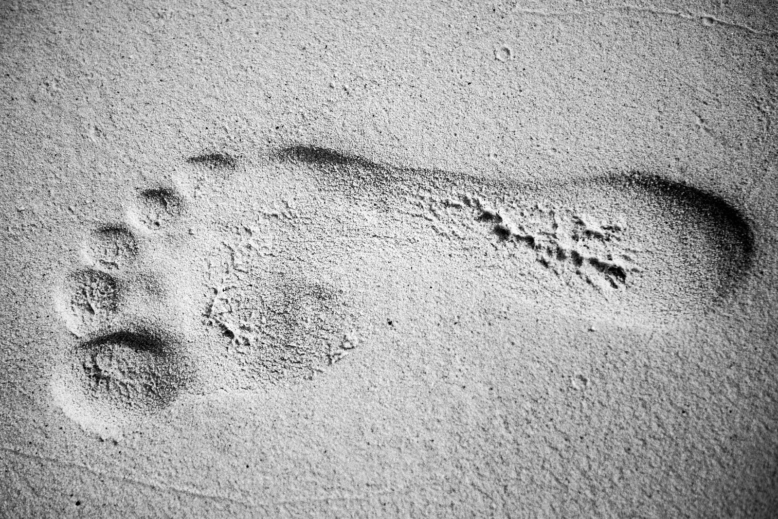 Photograph 116
