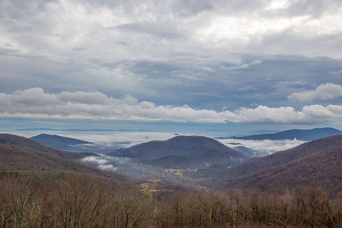 Photograph 41
