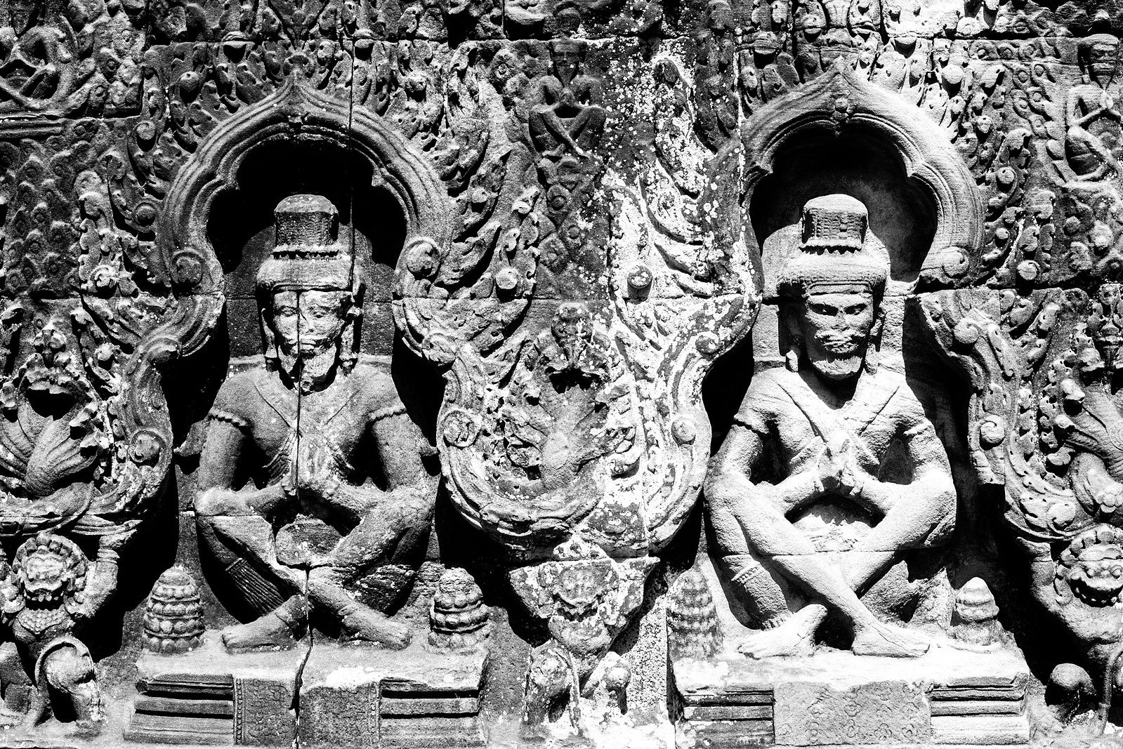Photograph 53