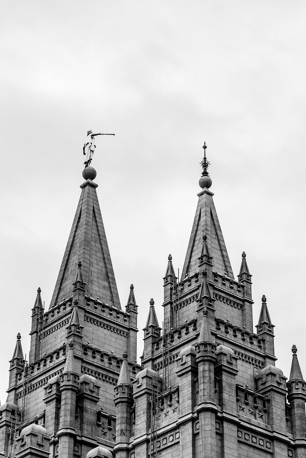 Photograph 81