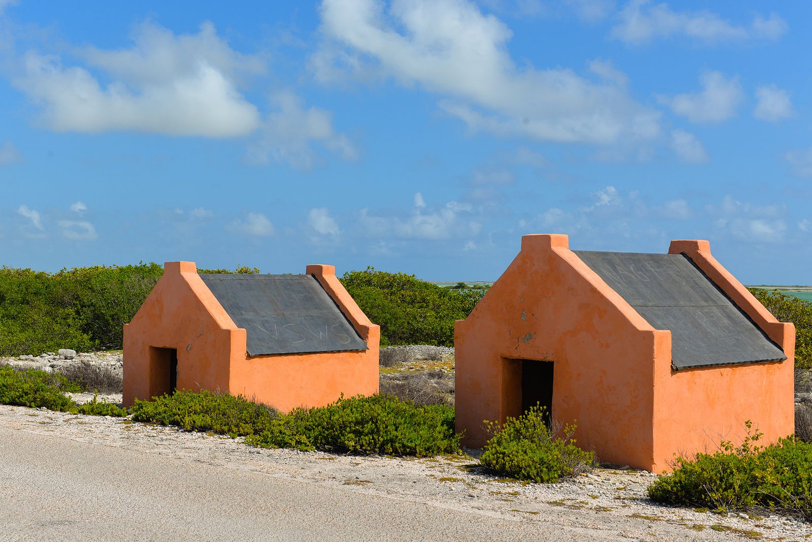 Photograph 94